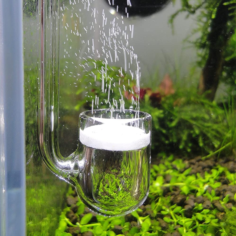 Co2 Diffuser Planted - D0AD ガラス CO2 ディフューザー 水槽用 植栽型