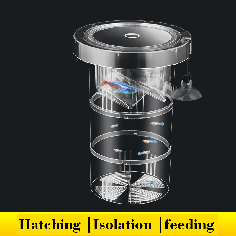 Aquarium Fish Accessories - フローティング魚飼育隔離ボックス水族館タンクベビーフィッシュインキュベーターベタカクレクマノミ稚魚孵化水族館アクセサリー