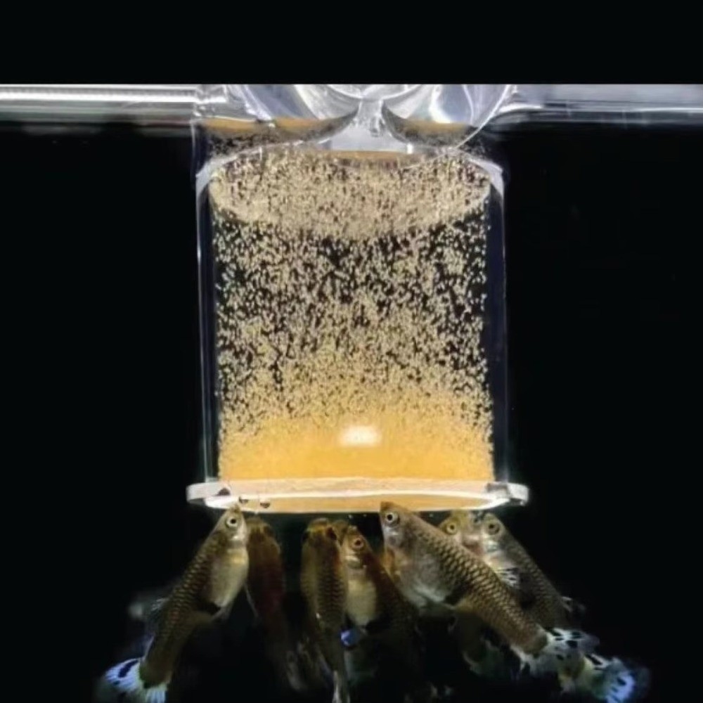 Aquarium Fish Eggs - アクリル製ブラインシュリンプフィーダー固定点透明水槽給餌カップ吸盤付き耐久性のある浮き輪