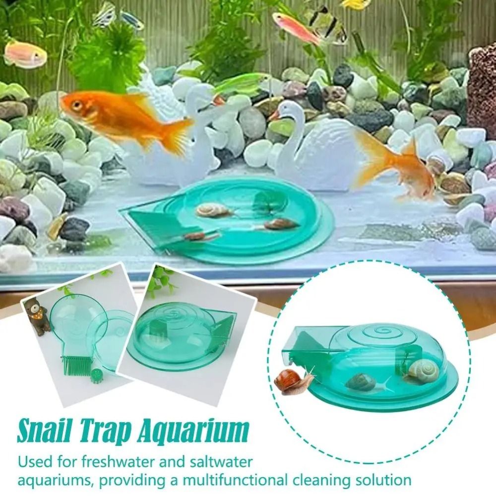 Aquarium Fish Eggs - 淡水海水水槽カタツムリトラップ効果的な多目的カタツムリ捕獲器耐久性のある水槽カタツムリ除去剤水槽用品