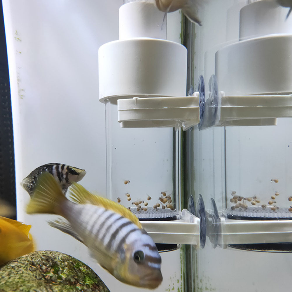 Aquarium Fish Eggs - 40mm水槽用シクリッド孵化場卵、口内孵化魚卵インキュベーター、インキュベータータンブラー、水槽養殖用