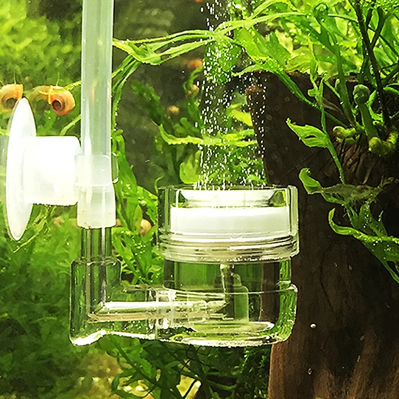 Co2 Diffuser Planted - 水槽用4in1 CO2ディフューザー、ガラス製タンクバブルリアクター、ソレノイドレギュレーター、DIY CO2アトマイザー（水槽、水草、ペチェラ用）