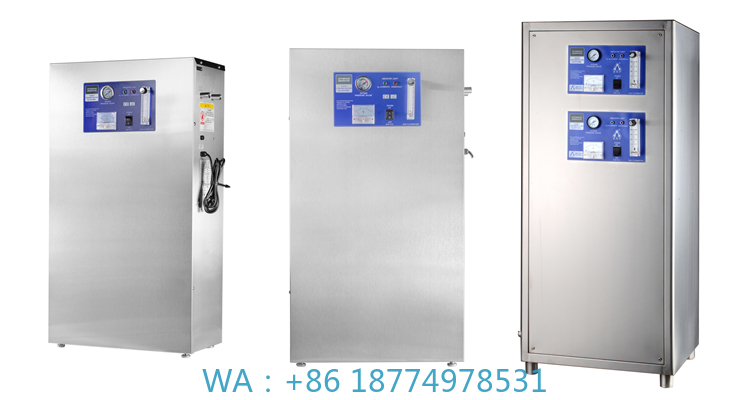 Aquarium Fish In Pond - 水槽、養殖、RAS、魚池、農場用O2発生器、オゾン発生器、中国製OW-10TB 8L/min産業用PSA酸素水生成器