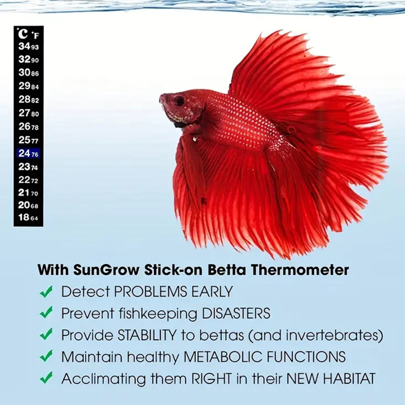 デジタル水族館温度計,水槽温度ステッカー,デュアルスケール, - Aquarium Thermometer のレビューと価格