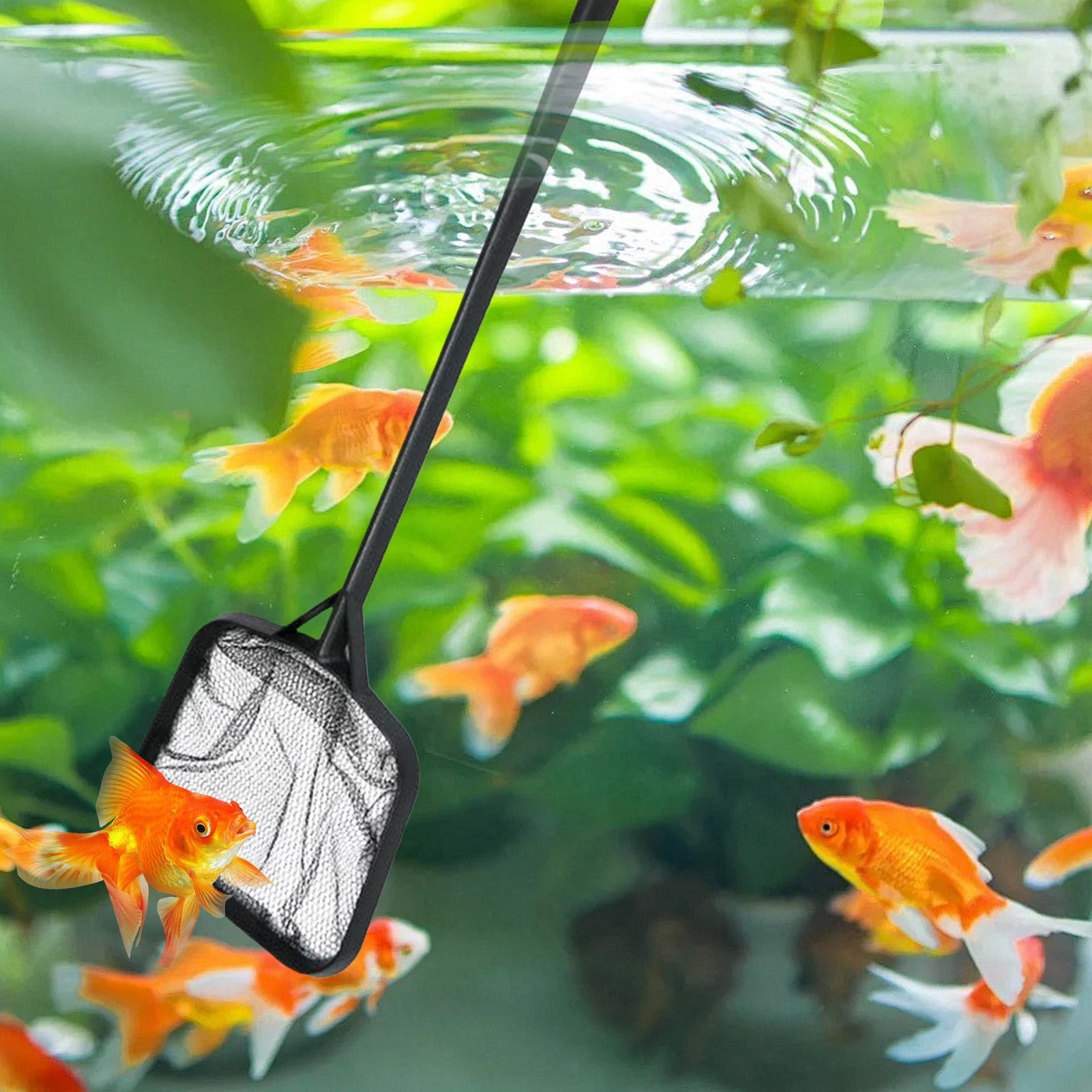 プールネット 清掃用 ポータブルプールストレーナーネット 噴 - Aquarium Fish Real のレビューと価格