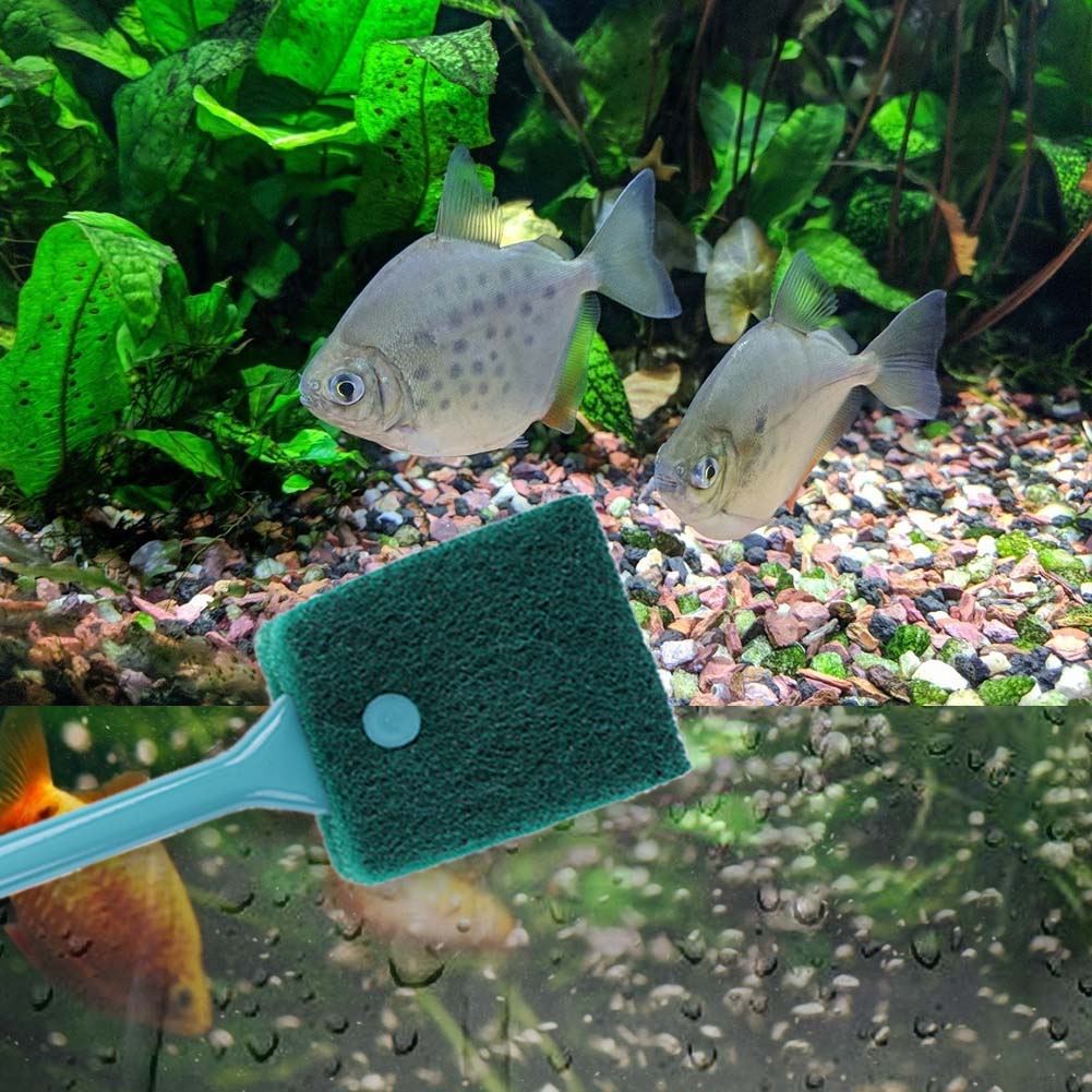 両面使える水槽用スポンジクリーナー、ロングハンドル付き水槽藻 - Aquarium Fish Accessories のレビューと価格