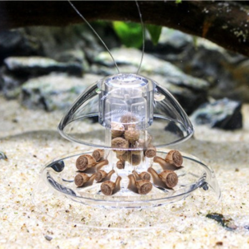 1 個水槽水族館クリーナーカタツムリトラップキャッチャー植物 - Aquarium Fish Eggs のレビューと価格