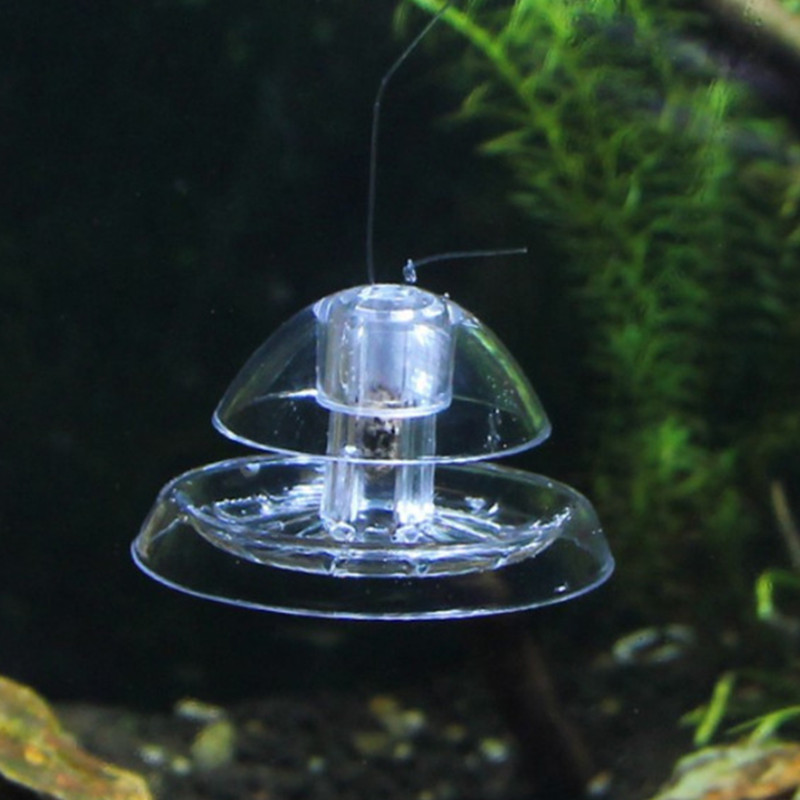1 個水槽水族館クリーナーカタツムリトラップキャッチャー植物 - Aquarium Fish Eggs のレビューと価格