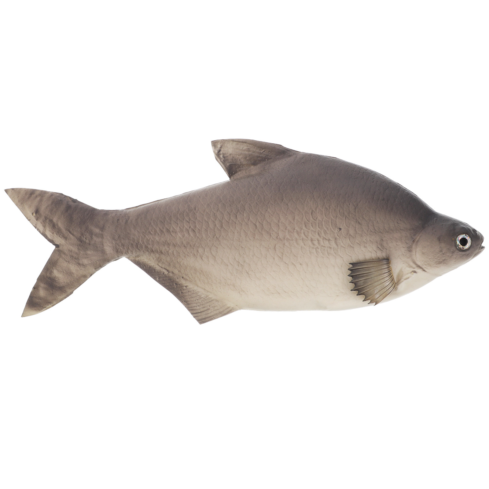 詳細なPU製模擬魚、リアルな装飾品、水槽、猫の遊び場、家庭用 - Aquarium Fish Market のレビューと価格