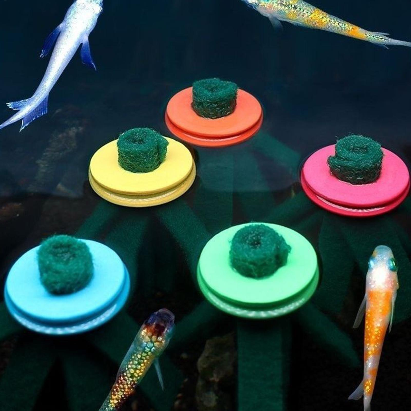 10個入り水槽産卵モップ装飾用繁殖用フローティングエッグコレ - Aquarium Fish Eggs のレビューと価格