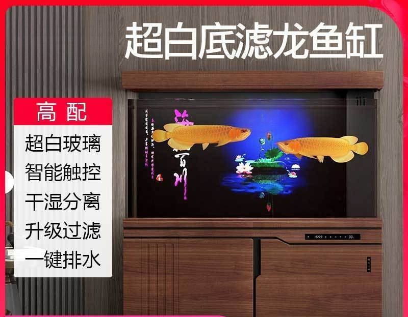 西龍水槽 大型・中型 底面フィルター リビングルーム用 下部 - Aquarium Xilong のレビューと価格