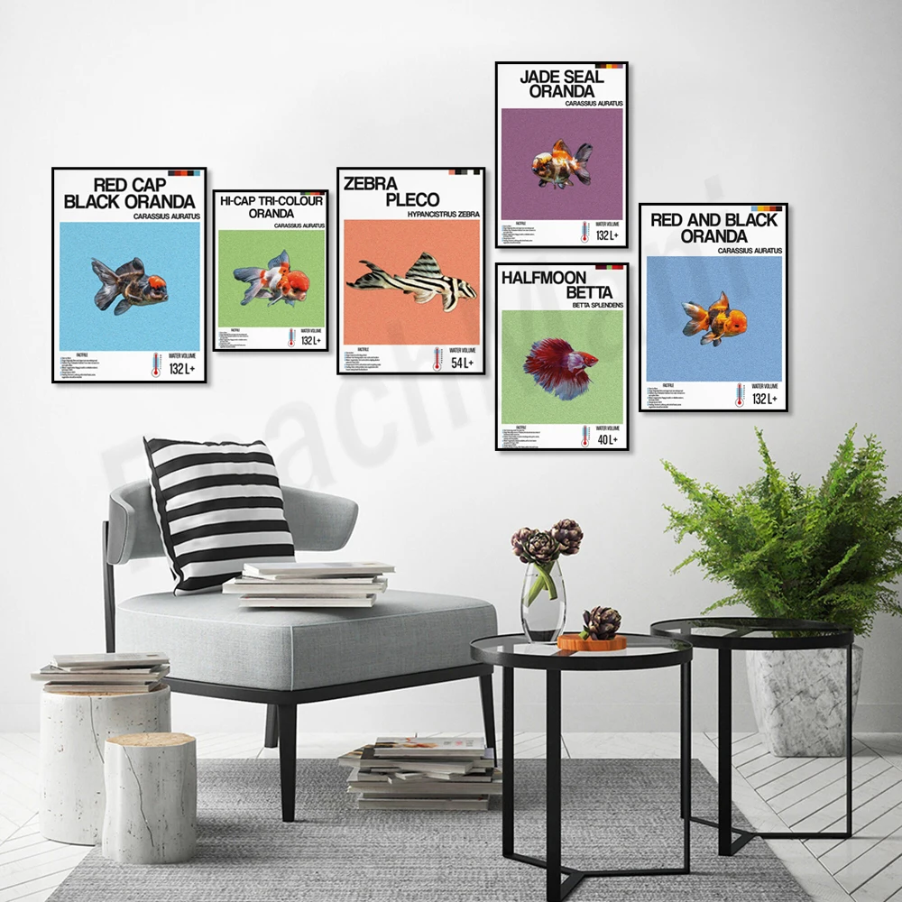 魚情報プリント、観賞魚、ハーフムーンベタ、ゼブラフィッシュ、 - Aquarium Fish Zebra のレビューと価格