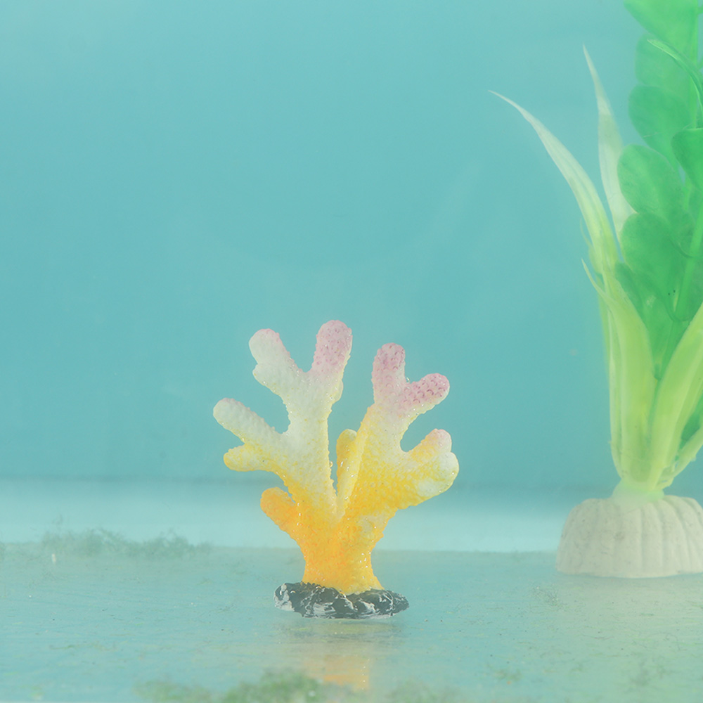 樹脂製の人工水族館の装飾,魚,魚,魚,葉,岩,水族館の装飾, - Aquarium Fish Real のレビューと価格