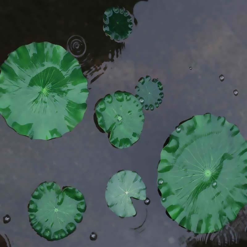 2026年人工水蓮蓮の葉花なし池飾り水槽用浮き蓮の葉庭の魚タ - Aquarium Fish In Pond のレビューと価格