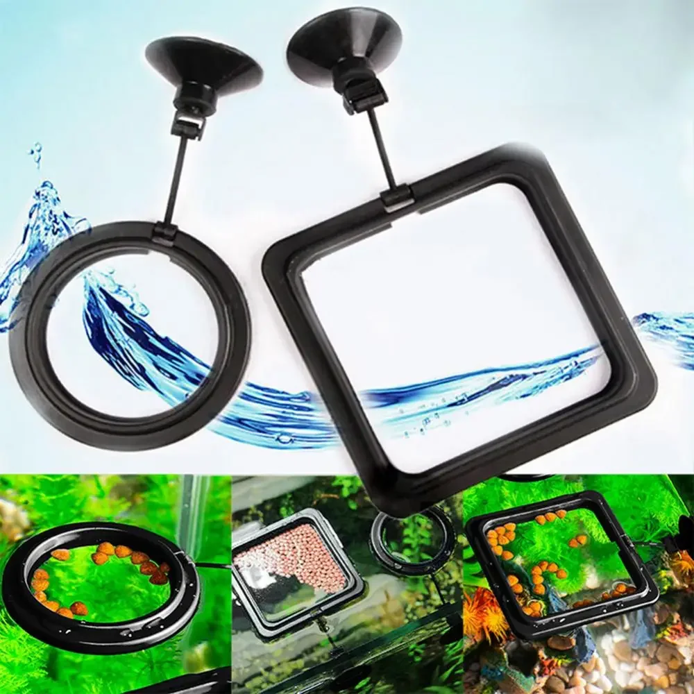 フィード吸盤水族館給餌リング水槽ステーションフローティングフ - Aquarium Fish Accessories のレビューと価格