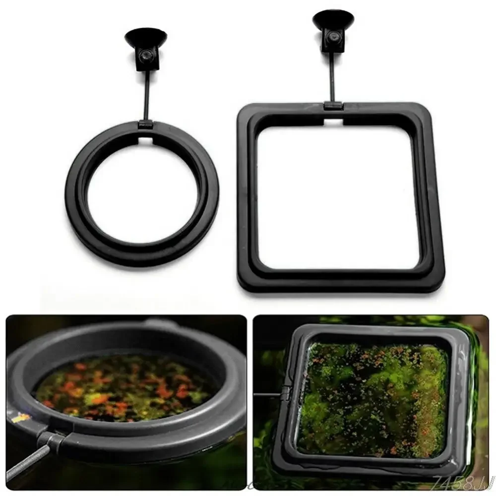フィード吸盤水族館給餌リング水槽ステーションフローティングフ - Aquarium Fish Accessories のレビューと価格