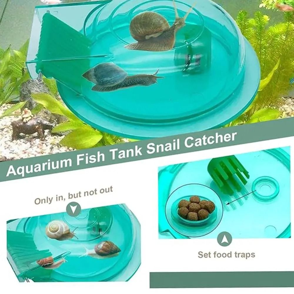 淡水海水水槽カタツムリトラップ効果的な多目的カタツムリ捕獲器 - Aquarium Fish Eggs のレビューと価格