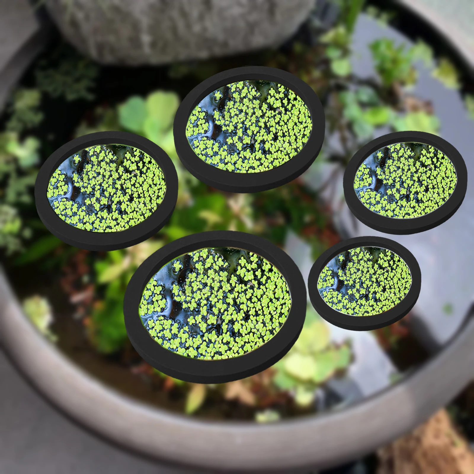 5 個 EVA 魚給餌リング水族館浮遊植物囲い水槽フロート植 - Aquarium Fish Accessories のレビューと価格