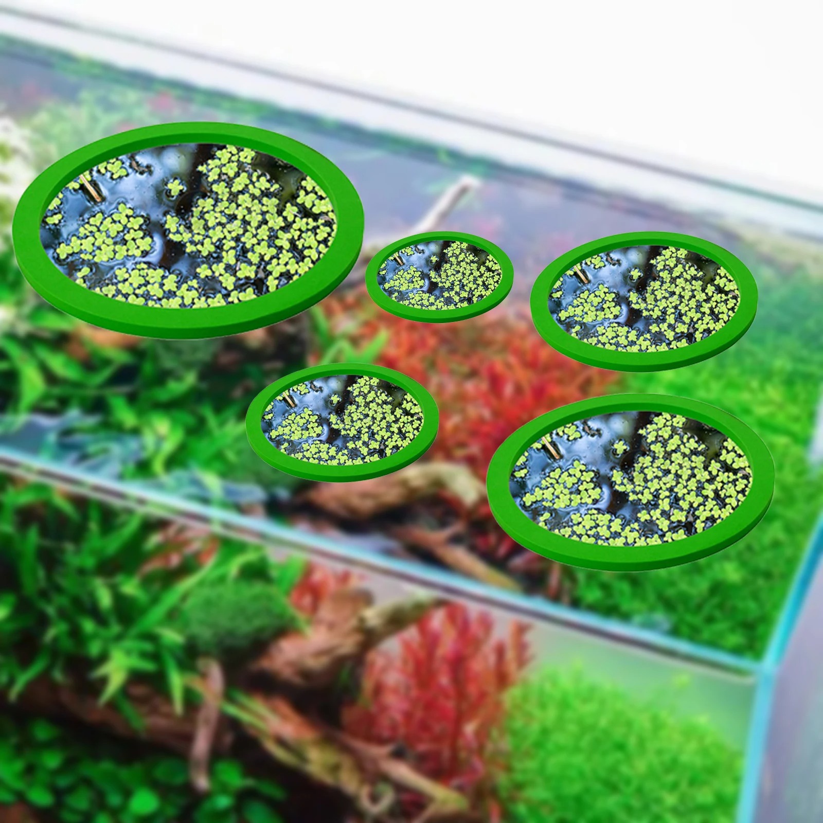5 個 EVA 魚給餌リング水族館浮遊植物囲い水槽フロート植 - Aquarium Fish Accessories のレビューと価格