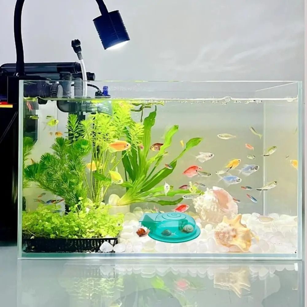 淡水・海水水槽用カタツムリトラップ 多目的効果的なカタツムリ - Aquarium Fish Eggs のレビューと価格