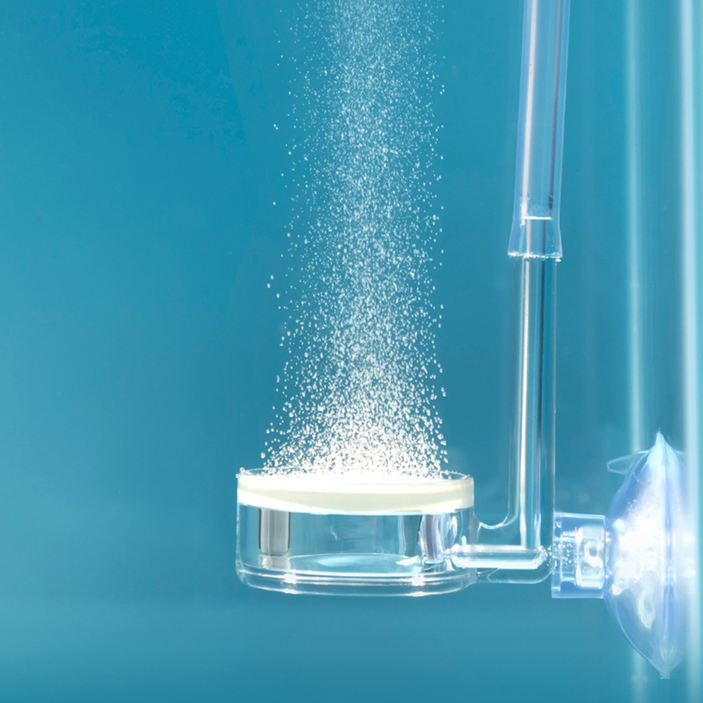 水族館の植物用ディフューザー1個、クリアCO2アトマイザー水 - Co2 Diffuser Planted のレビューと価格