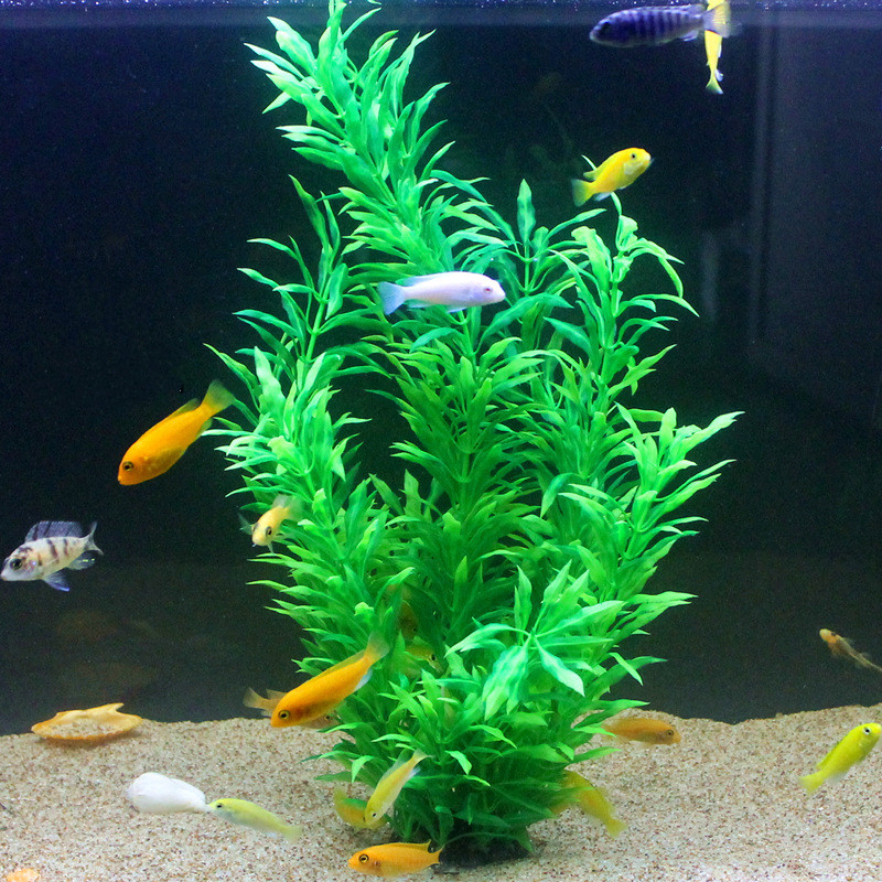 人工水槽50cm,珍しい植物,水族館,偽の竹の葉,水草,プラ - Aquarium Fish Real のレビューと価格