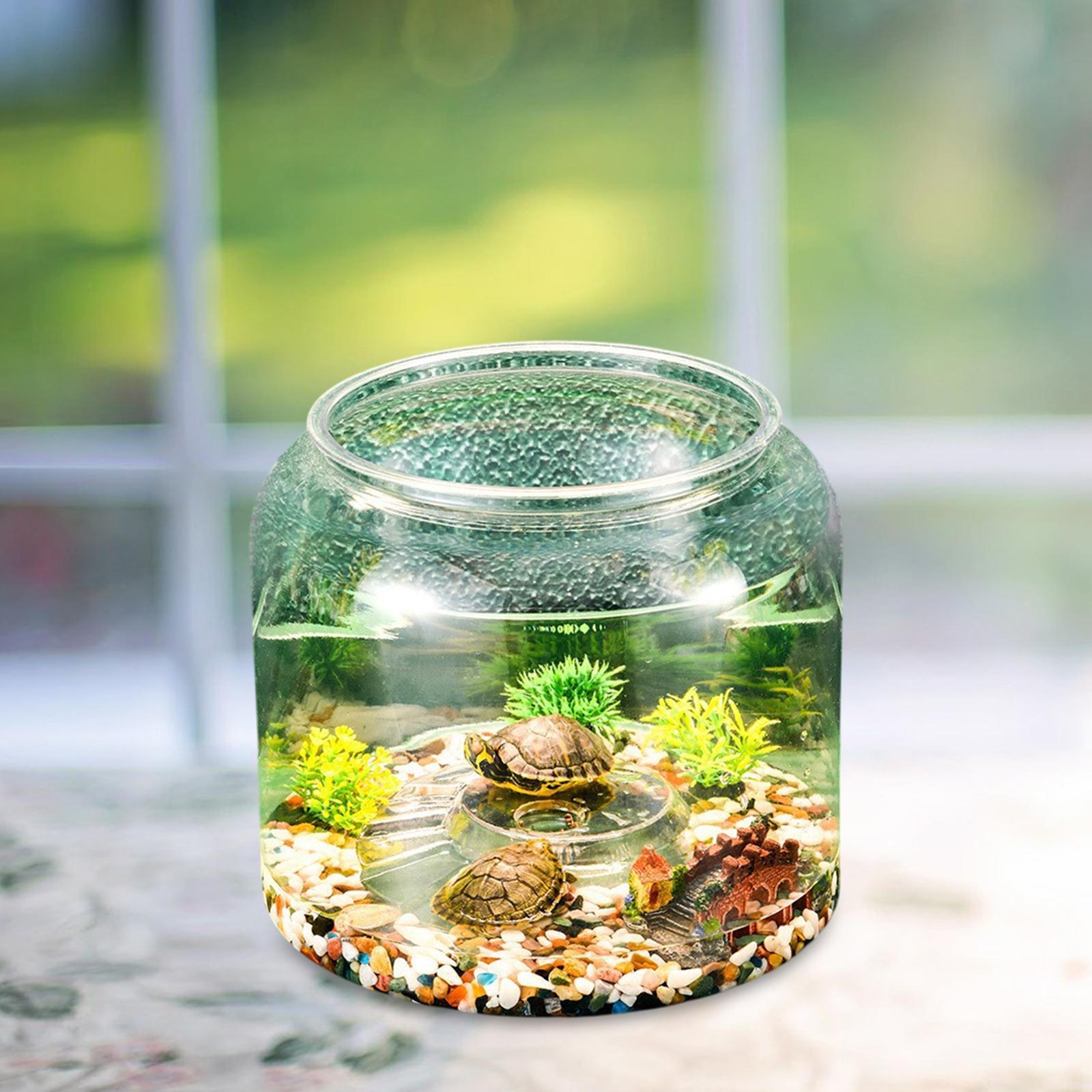 アパートの寝室や居間用の亀用テーブルトップ爬虫類飼育ケージ - Draw Fish Aquarium のレビューと価格