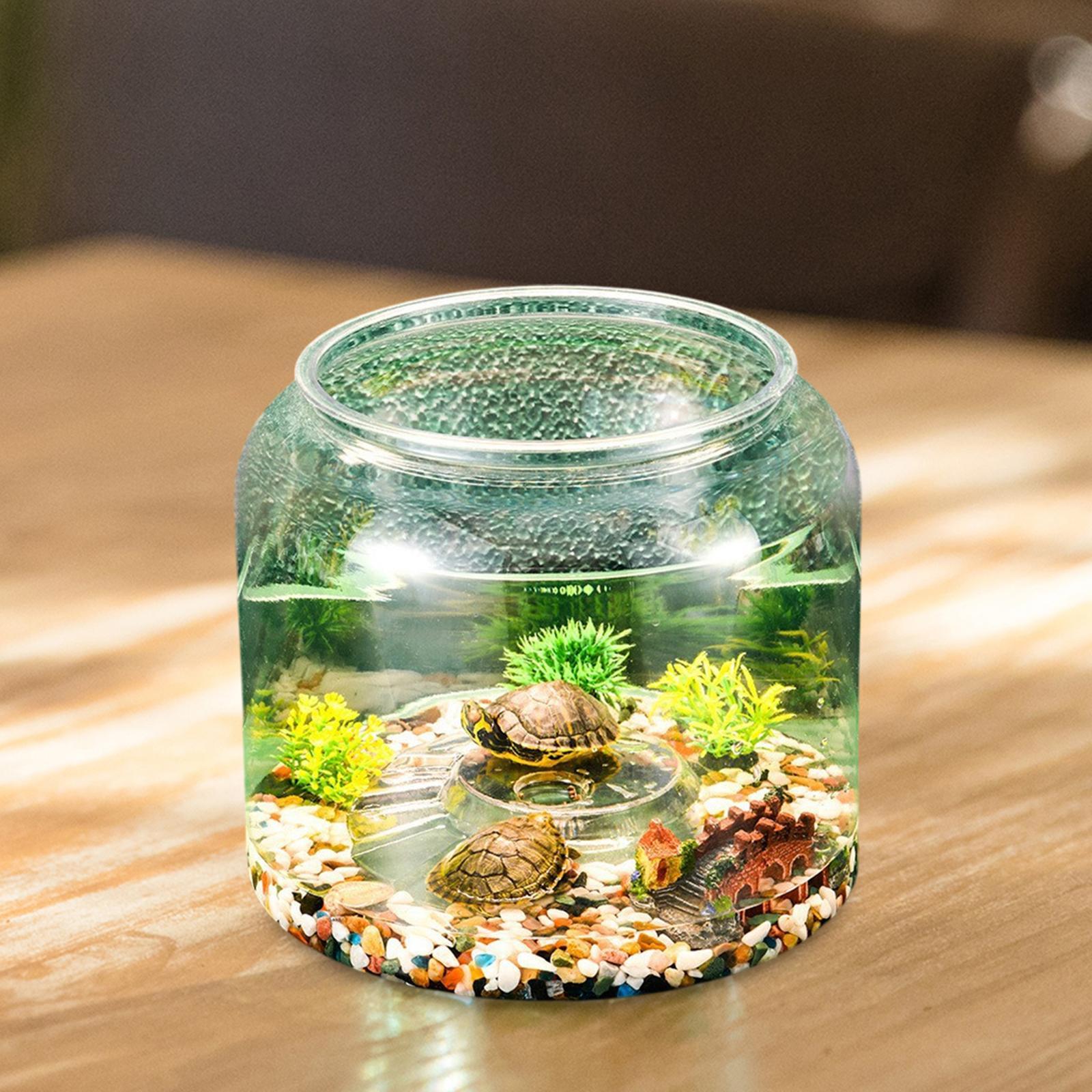 アパートの寝室や居間用の亀用テーブルトップ爬虫類飼育ケージ - Draw Fish Aquarium のレビューと価格