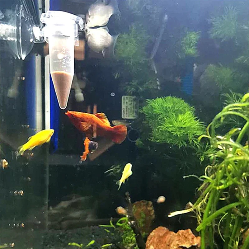 自動魚フィーダーコーンエビ卵ワーム漏斗カップ給餌ツールリング - Aquarium Fish Eggs のレビューと価格