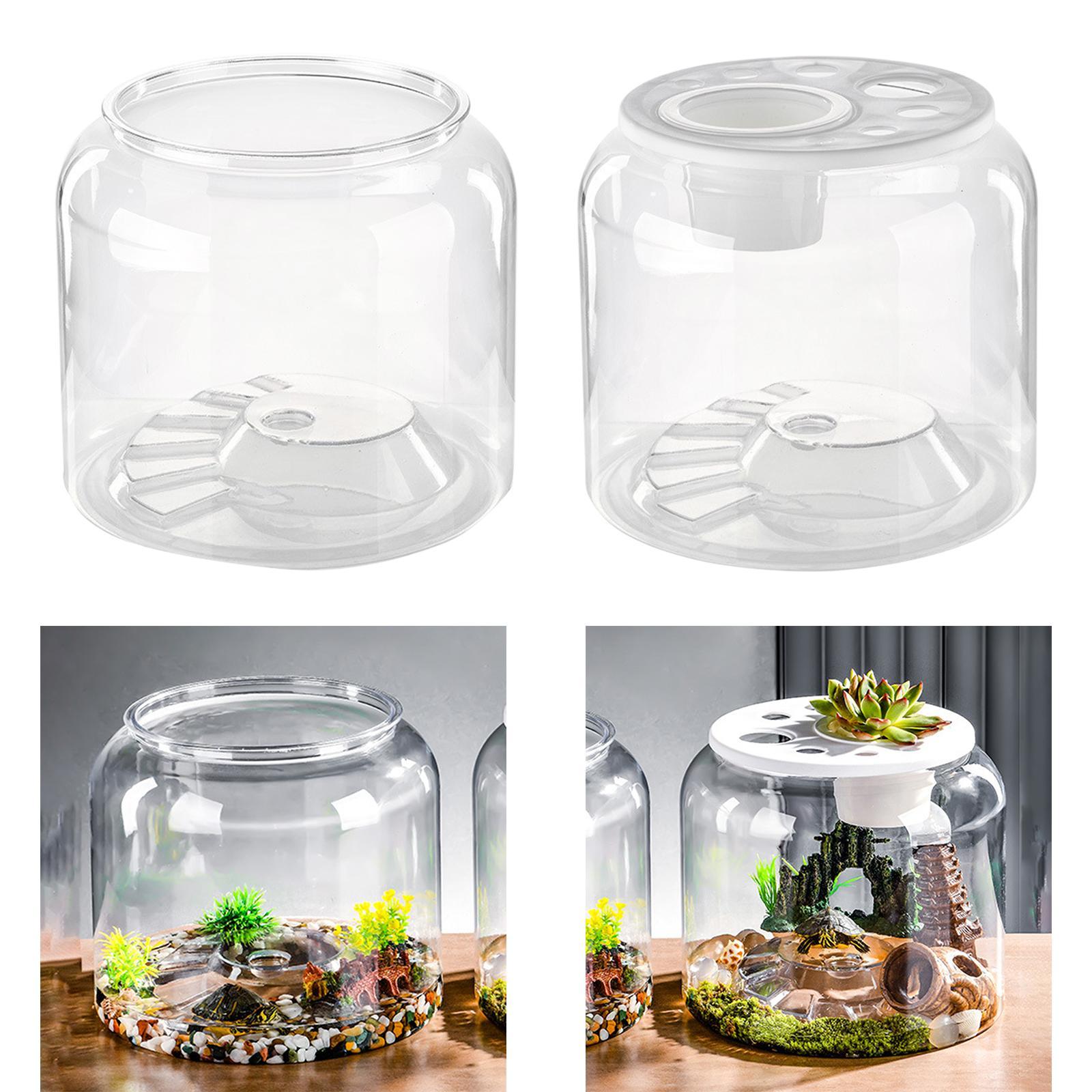 カメ用コンテナ 大容量 透明テーブルセンターピース おしゃれ - Draw Fish Aquarium のレビューと価格